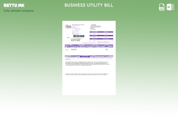 Модерен стил Belize Water Services Limited шаблон за деловна сметка за комунални